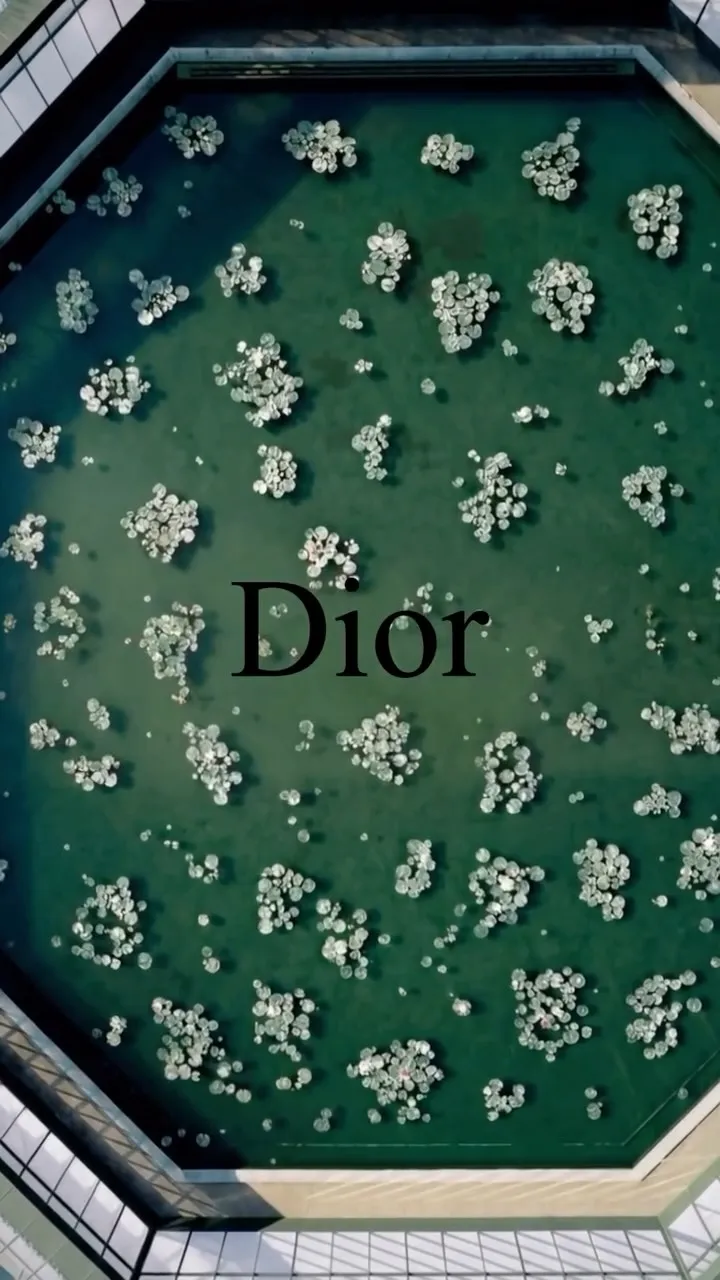 Inspired by Dior Autumn/Winter 2026.